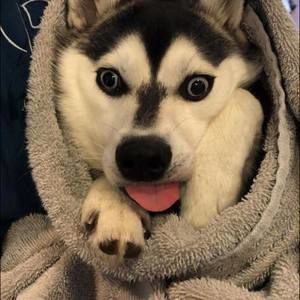 Meet your Posher, Aaron